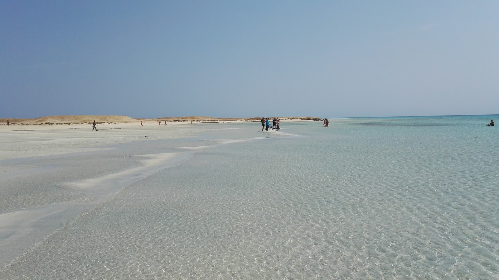 Sharm El Luli'in fotoğrafı vahşi alan