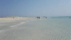 Sharm El Luli'in fotoğrafı vahşi alan