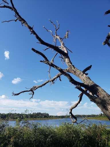 Park «Lake Rogers Park», reviews and photos, 9010 N Mobley Rd, Odessa, FL 33556, USA