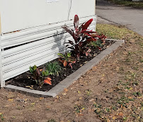 Lewis Loves Landscaping LLC - Photo 3 - Car repair in , Tampa