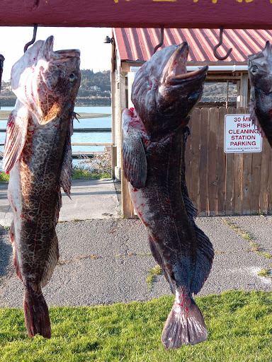 Sporting Goods Store «Chetco Outdoor Store», reviews and photos, 16220 W Hoffeldt Ln, Brookings, OR 97415, USA