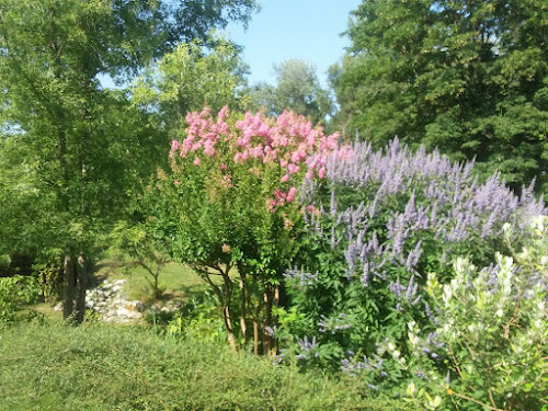 JARDIN ZEN à Beaumont-Monteux