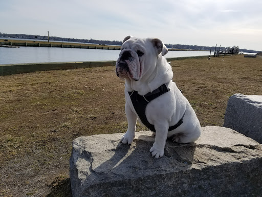 Historical Place «Salem Maritime National Historic Site», reviews and photos, 160 Derby St, Salem, MA 01970, USA