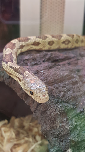 Pet Supply Store «Petco Animal Supplies», reviews and photos, 14051 Aldrich Ave S, Burnsville, MN 55337, USA