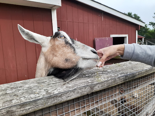 Social Services Organization «Lambs Farm», reviews and photos, 14245 W Rockland Rd, Libertyville, IL 60048, USA