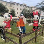 Photo n°6 de l'avis de Claro.o fait le 18/11/2021 à 20:49 sur le  Schiacciavineria à Empoli