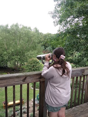 Centennial Gardens - photo 36