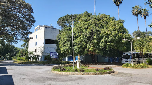 Institutos publicos en Maracay