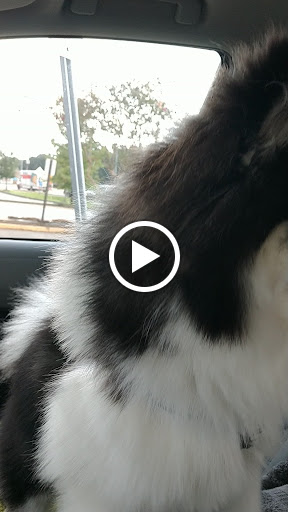 Fast Food Restaurant «Chick-fil-A», reviews and photos, 2341 S Range Ave, Denham Springs, LA 70726, USA