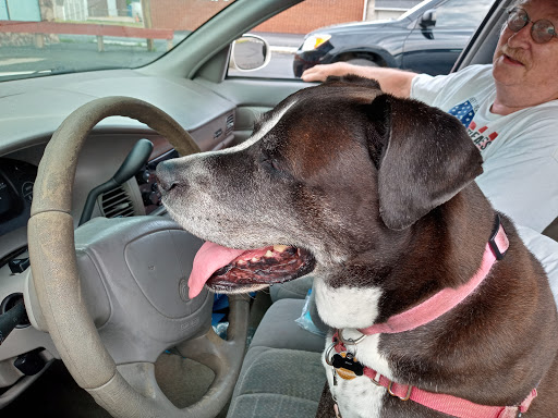 Mechanic «Pro Automotive Services», reviews and photos, 1095 E Edwardsville Rd, Wood River, IL 62095, USA