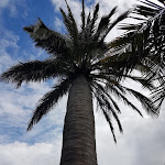 Photo n°29 de l'avis de Rosa.e fait le 18/05/2019 à 16:00 sur le  Schlossgarten à Merano