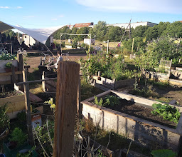 Gemeinschaftsgarten Allmende-Kontor photo