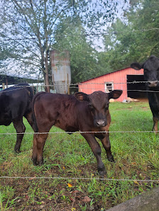 Bowling Farm and Butchery 469 Bainbridge Rd, Muscle Shoals, AL 35661, United States