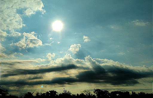 Insurance Agency «American Modern Insurance Group Inc», reviews and photos