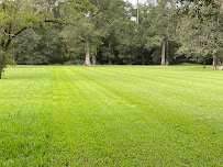 Snider Lawn and Landscape, LLC - Photo 3 - Car repair in , Lake Charles