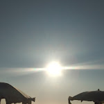 Photo n°1 de l'avis de Flavia.r fait le 15/08/2022 à 13:20 sur le  Chiosco La Perla à Sabaudia