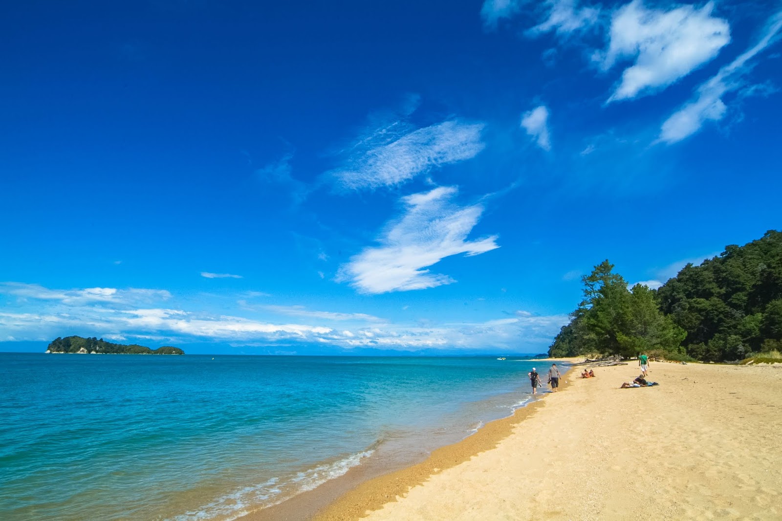 Foto di Ngaio Bay Beach con una superficie del sabbia beige