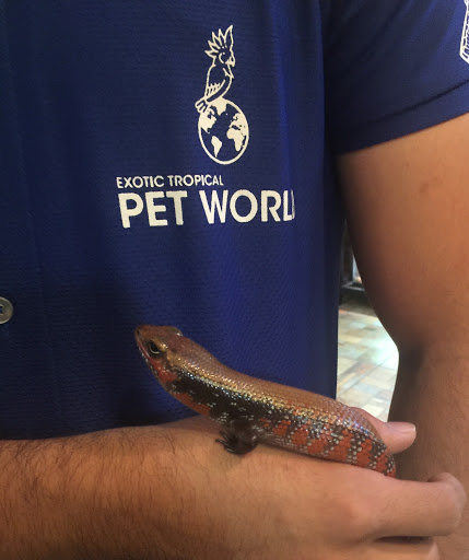 Pet Store «Exotic Tropical Petworld LLC.», reviews and photos, 1716 W Hackberry Ave, McAllen, TX 78501, USA