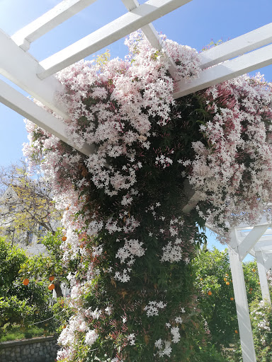 Museum «Heritage Museum of Orange County», reviews and photos, 3101 W Harvard St, Santa Ana, CA 92704, USA