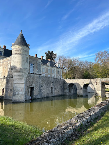 Château & Thermes de Saint-Denis sur Loire à Saint-Denis-sur-Loire