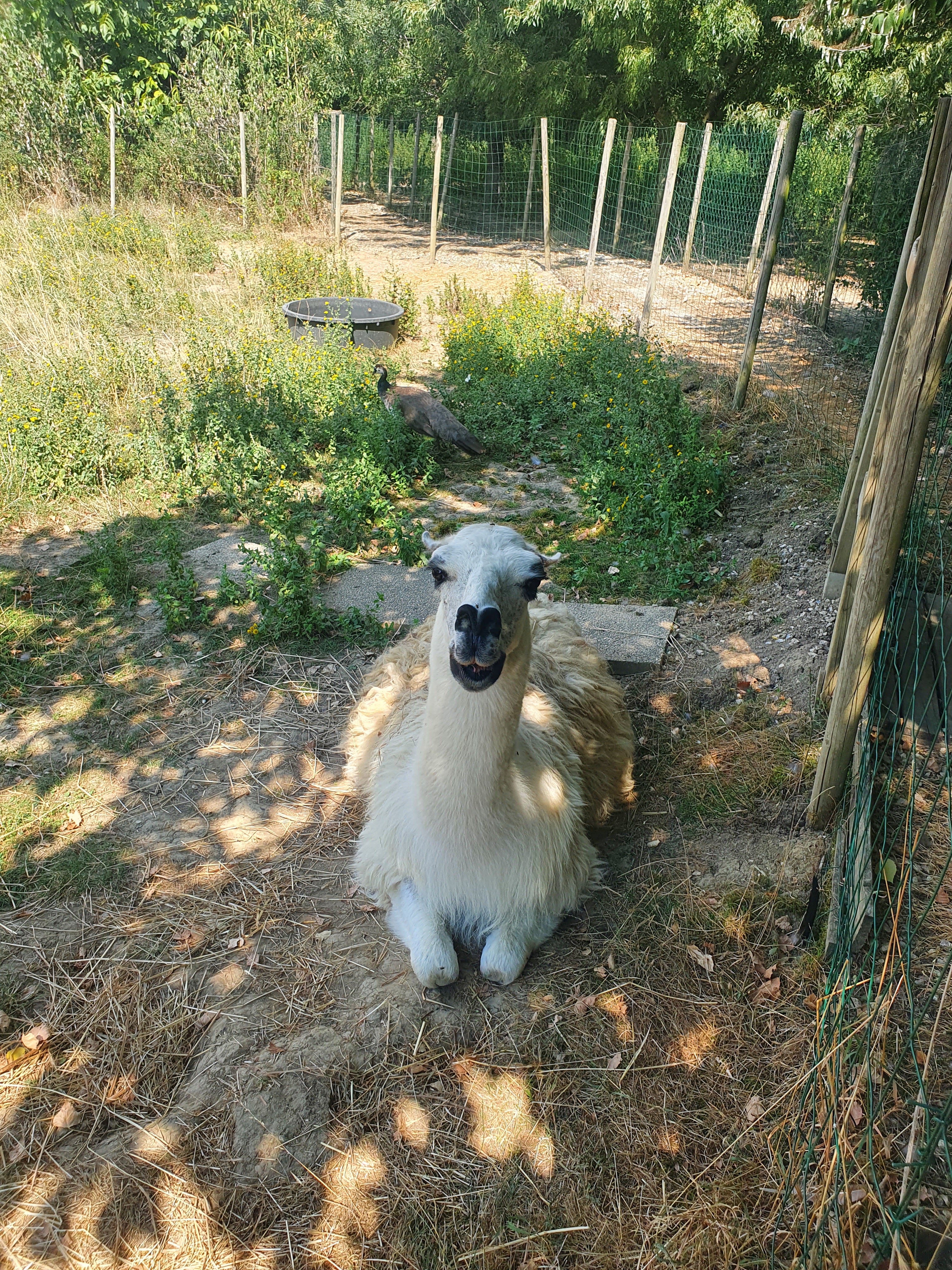 Photo n° 3 de l'avis de Clotilde.r fait le 05/08/2022 à 16:32