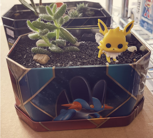 Video Game Store «Legacy Games», reviews and photos, 15086 Claret Ave W, Rosemount, MN 55068, USA