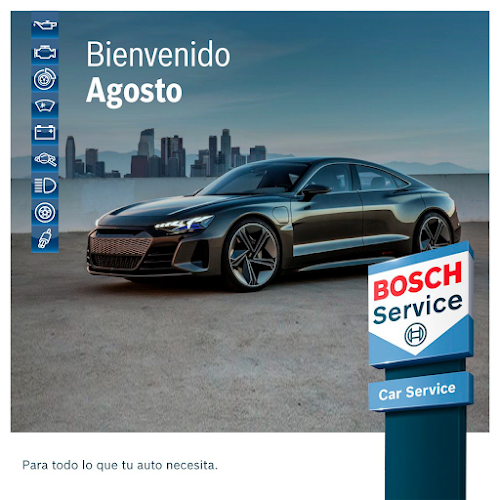 Bosch Car Service - Taller Cripton