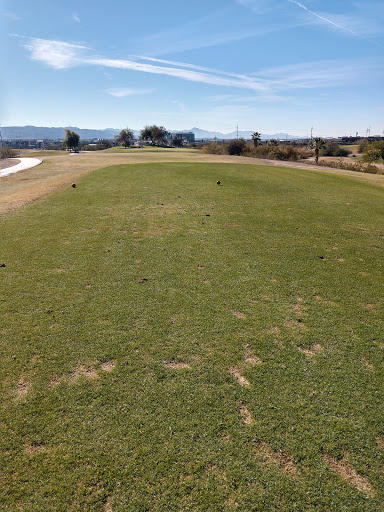 Public Golf Course «Rolling Hills Golf Course», reviews and photos, 1415 N Mill Ave, Tempe, AZ 85281, USA