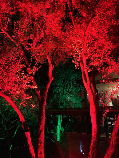 Bay Area Event Lights image