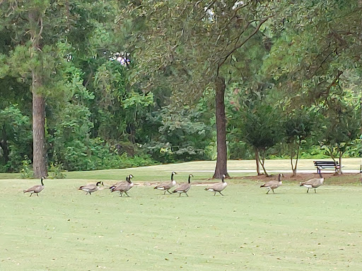 Public Golf Course «Lagoon Park Golf Course», reviews and photos, 2855 Lagoon Park Dr, Montgomery, AL 36109, USA