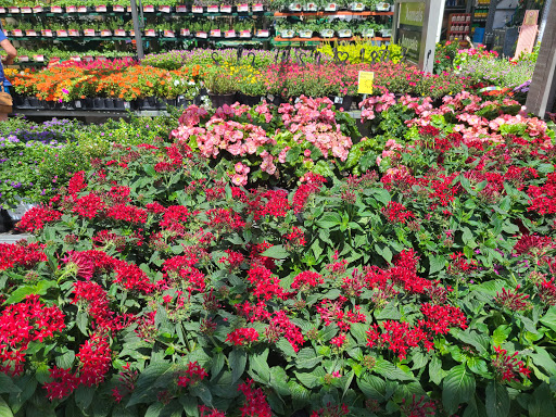 Home Improvement Store «The Home Depot», reviews and photos, 1524 E Brandon Blvd, Brandon, FL 33511, USA