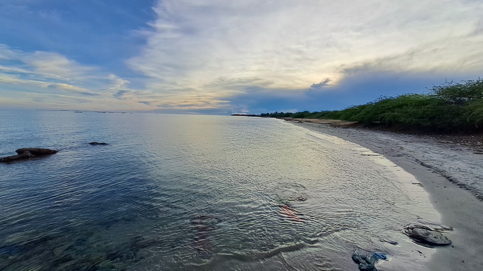 Φωτογραφία του Muthupettai Cruz Fernandez Beach με επίπεδο καθαριότητας πολύ καθαρό