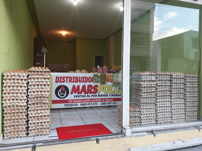 "MARS POLLO" DISTRIBUIDORA DE POLLOS - Supermercado