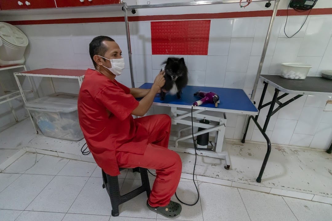 Salon Canino