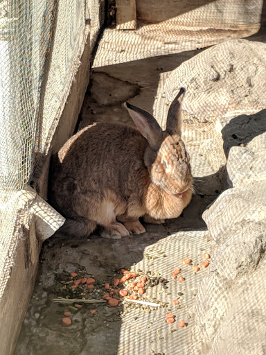 Produce Market «Underwood Family Farms», reviews and photos, 3370 Sunset Valley Rd, Moorpark, CA 93021, USA