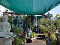 Designers Views - Photo 3 - Car repair in Studio City, CA, Glendale