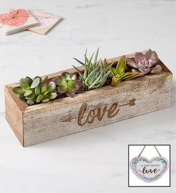 Florist «Exotica Florist», reviews and photos, 10376 Main Street, Fairfax, VA 22030, USA