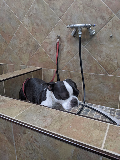 Pet Store «Pet Valu», reviews and photos, 51 Shunpike Rd, Cromwell, CT 06416, USA