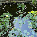 Photo n°2 de l'avis de Carlos.a fait le 07/07/2023 à 15:05 sur le  Hotel Convento dos Capuchos à Monção