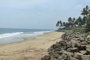 The Black Sand Beach Varkala image