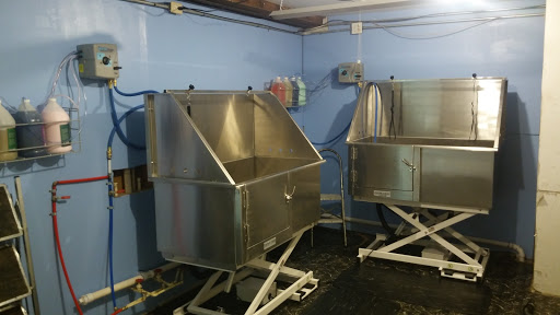 Pet Groomer «Premier Loving Care», reviews and photos, 48 E Washington St, Shelbyville, IN 46176, USA