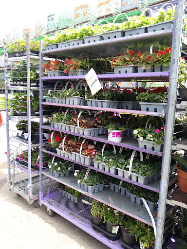 Home Improvement Store «The Home Depot», reviews and photos, 1336 Bristol Pike, Bensalem, PA 19020, USA