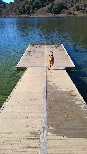 Lake Chabot Regional Park - photo 91