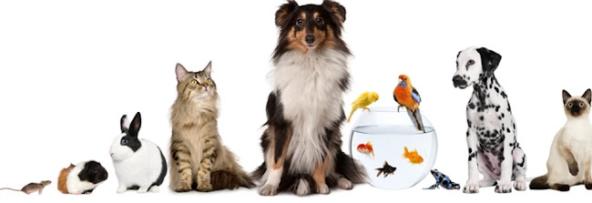 Pet Shop Yamamoto