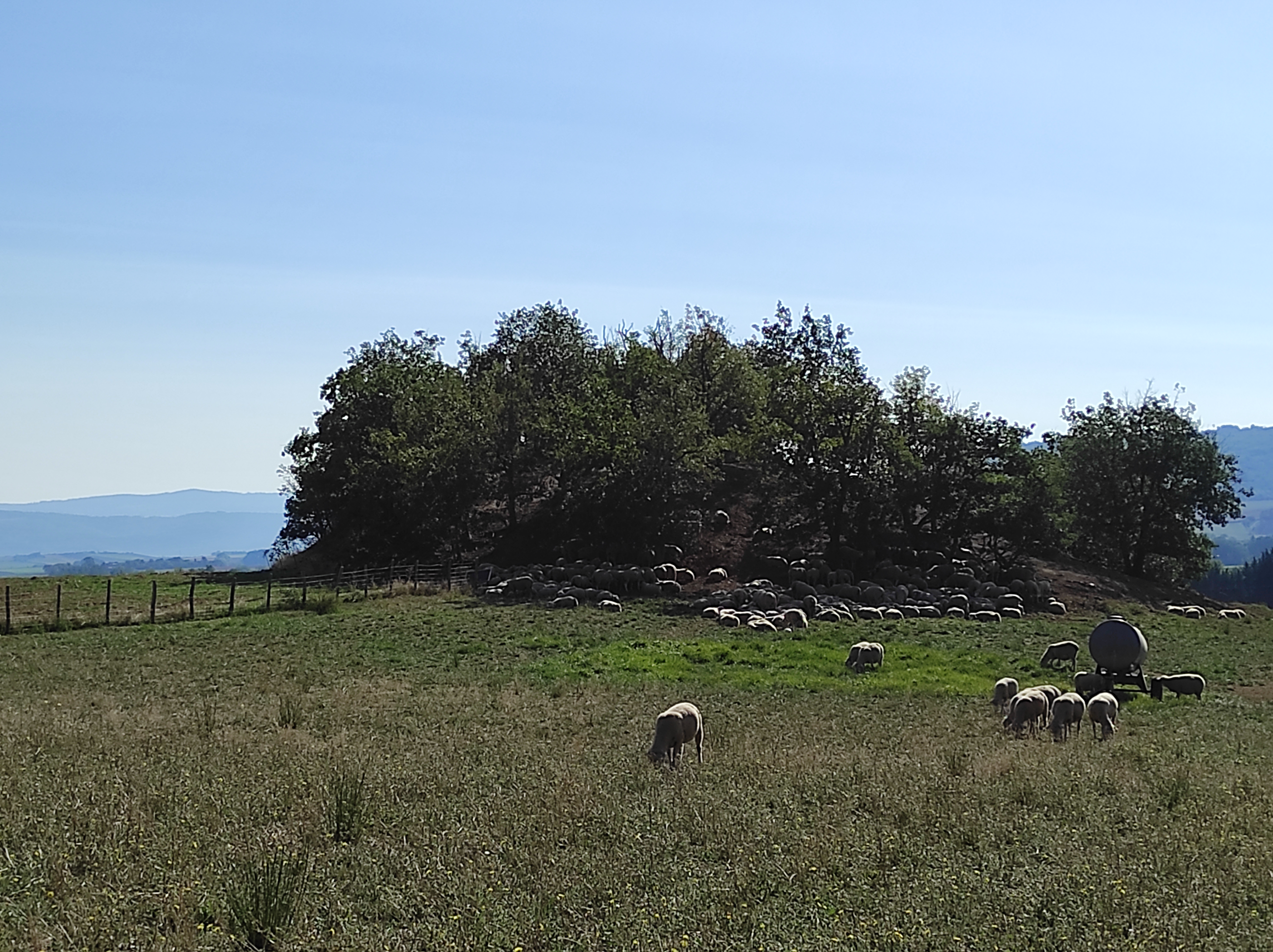 Photo n° 4 de l'avis de Aurelien.a fait le 15/09/2020 à 09:43
