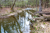 Herbert Glaze Photography - Photo 6 - Car repair in , Monroe