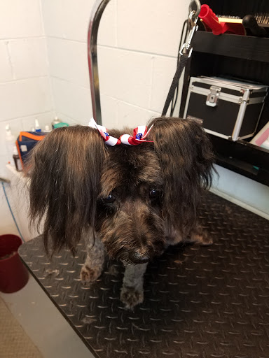 The Mobile Groomer LLC