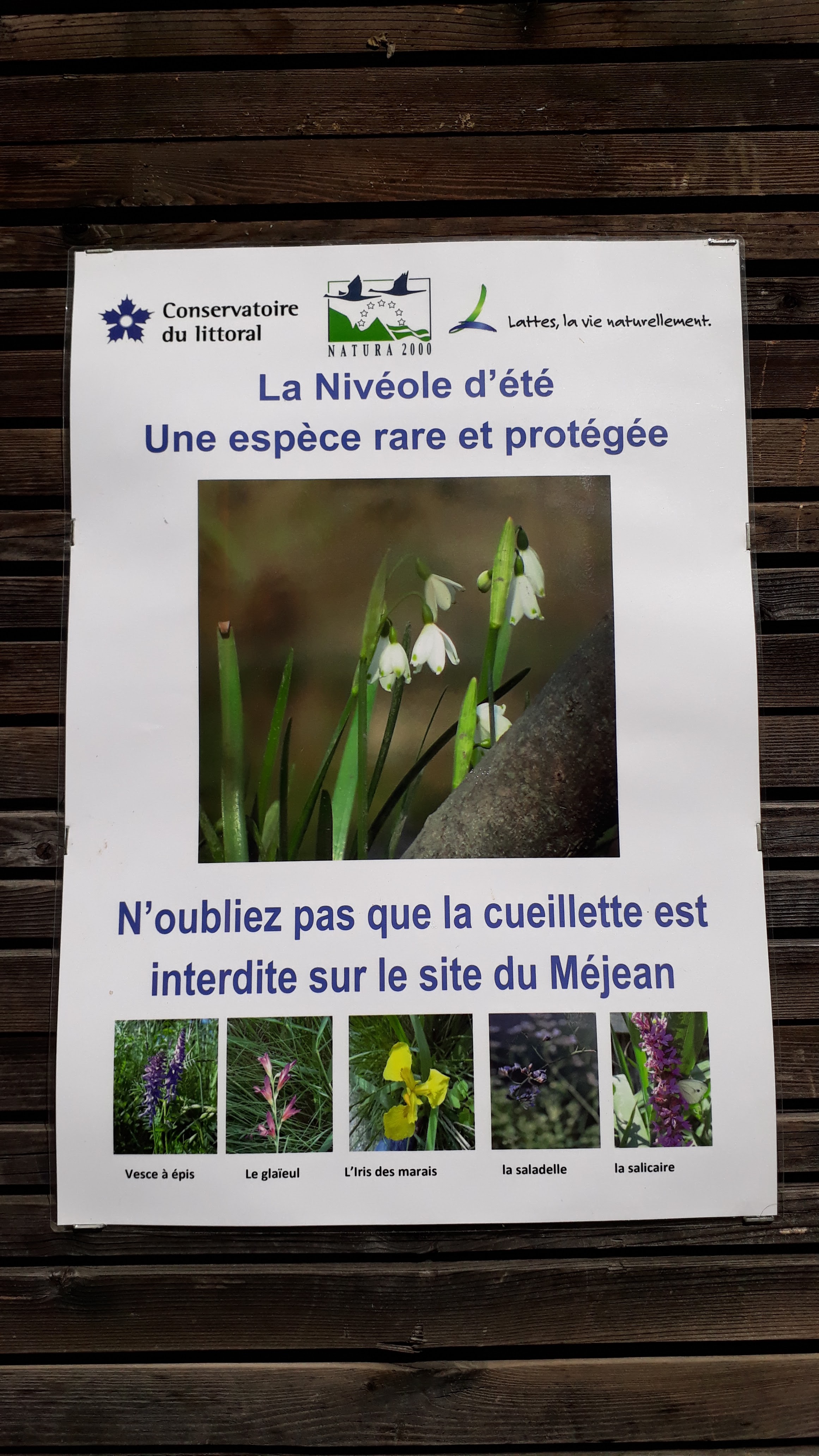 Photo n° 26 de l'avis de Cassandra.i fait le 17/03/2019 à 16:00