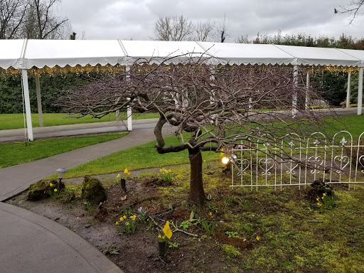 Wedding Chapel «Victorian Belle», reviews and photos, 1441 N McClellan St, Portland, OR 97217, USA