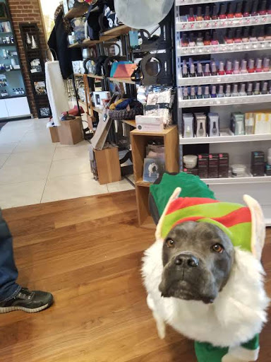 Hair Salon «Bell Tower Salon Spa», reviews and photos, 18 State Hill Rd, Wyomissing, PA 19610, USA